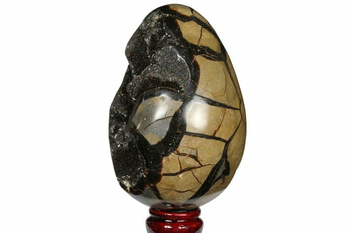 Septarian Dragon Egg Geode - Black Crystals #120878